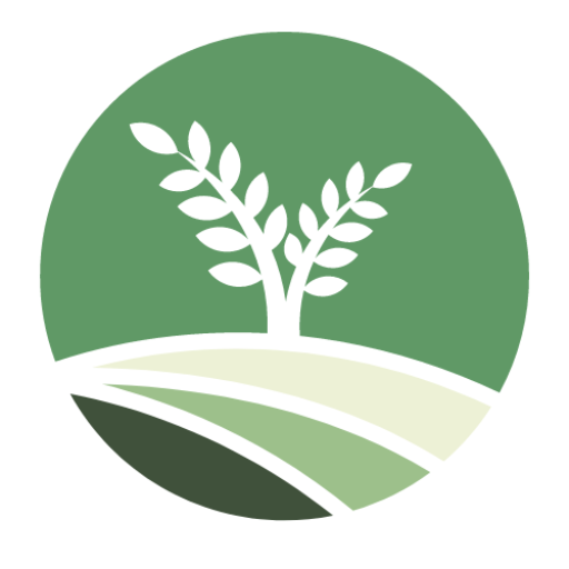 美健生活のススメ